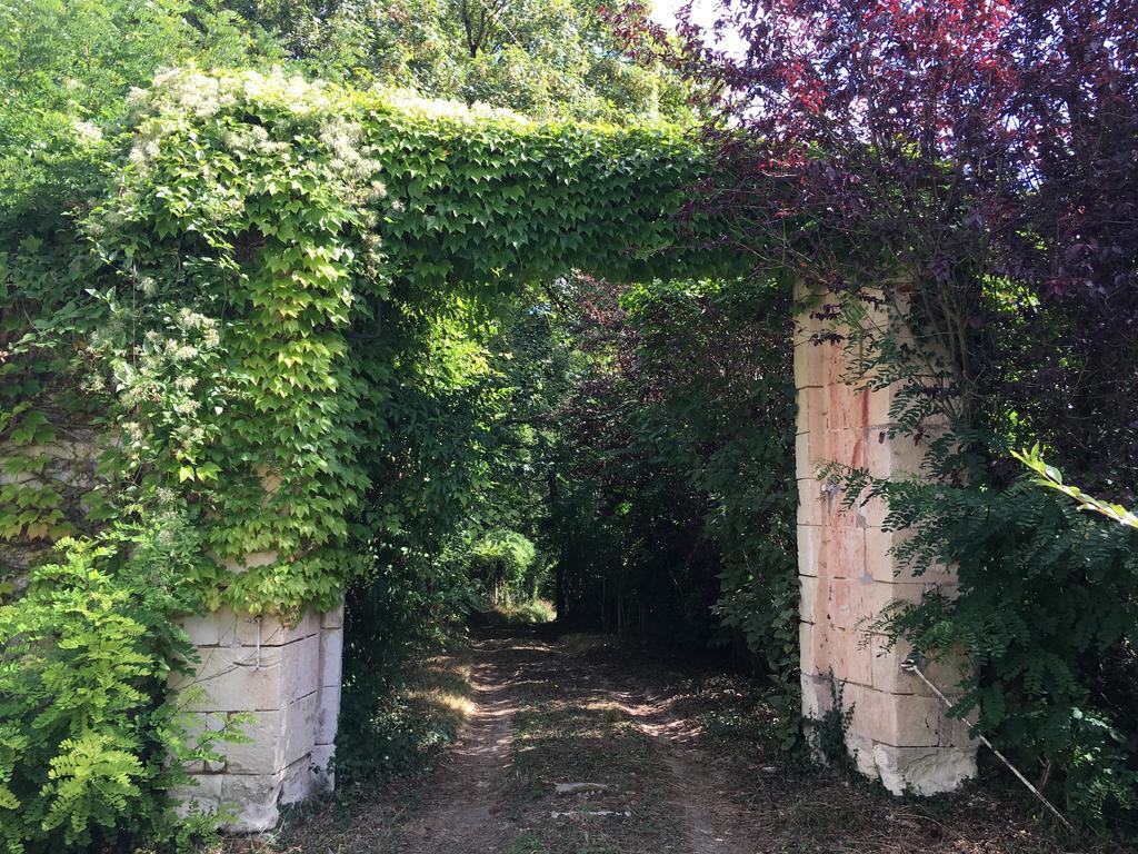 Les Terrasses De Chaumont 1 * Montsoreau